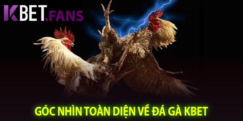Góc Nhìn Toàn Diện Về Đá Gà KBet