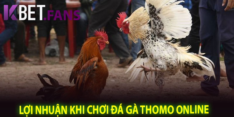 Lợi Nhuận Khi Chơi Đá Gà Thomo Online